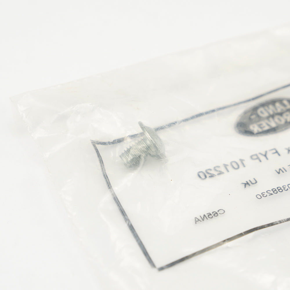 DEURVERGRENDELING TORX SCHROEF