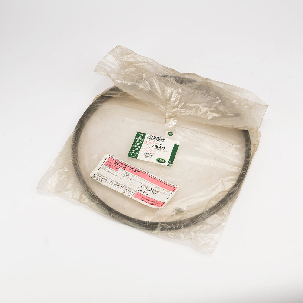 STUURBEKRACHTIGINGSPOMP V-SNAAR