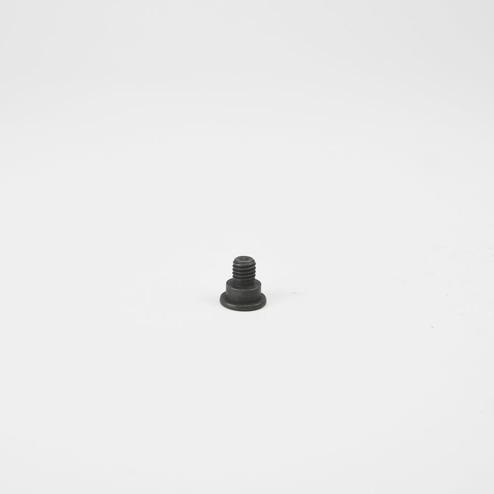 M8 X 14MM SCHIJFREMSCHROEF