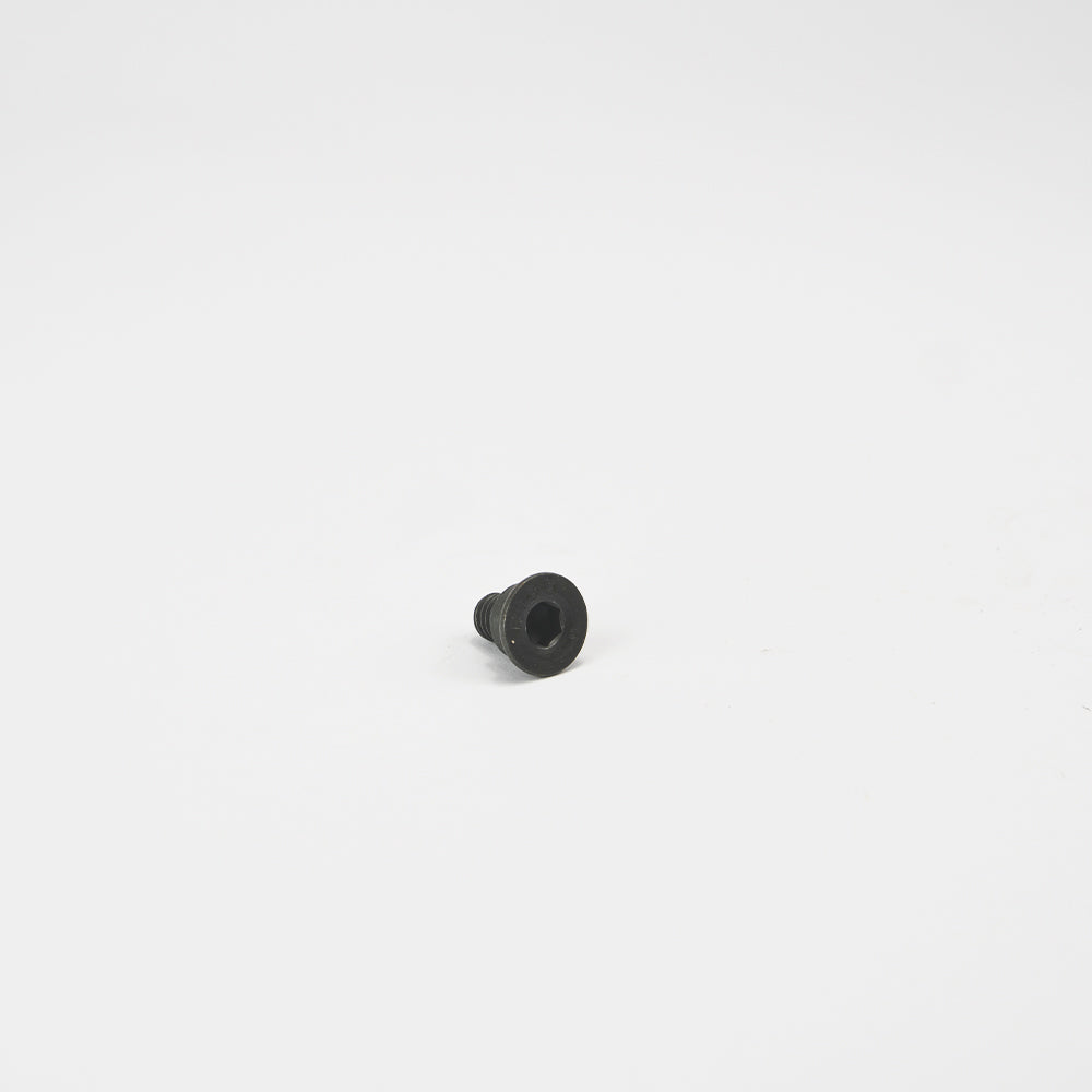 M8 X 14MM SCHIJFREMSCHROEF