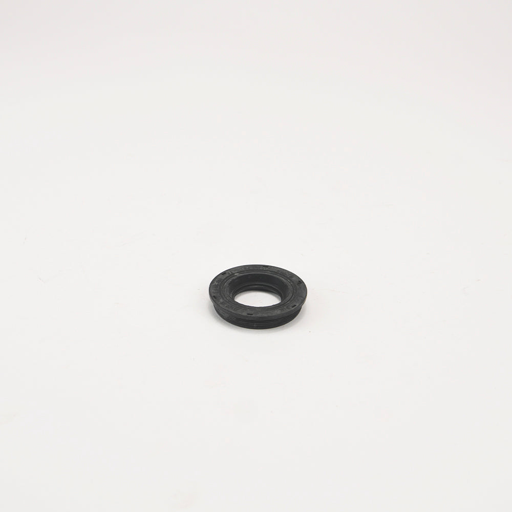 BRANDSTOFINJECTORBEVESTIGING 2.4 PUMA