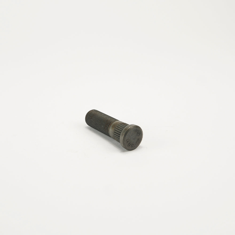 60MM WOLF WIELSTUD